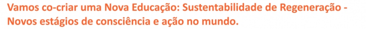 13-titulo