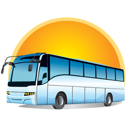 Stupid Bus